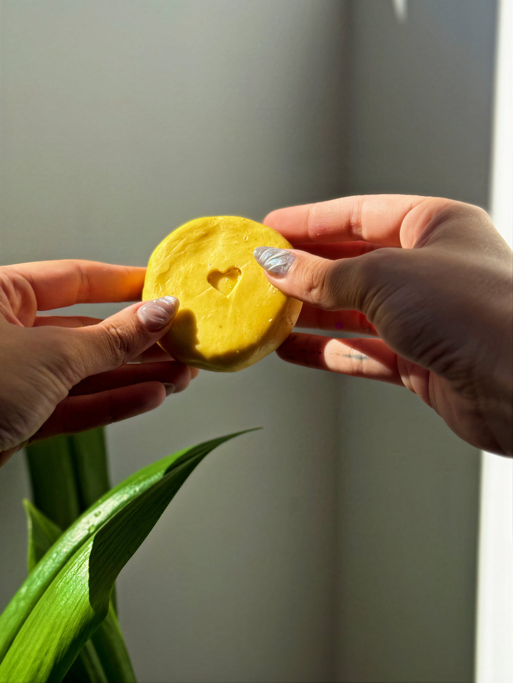 Shampoo Solido de Aguaje