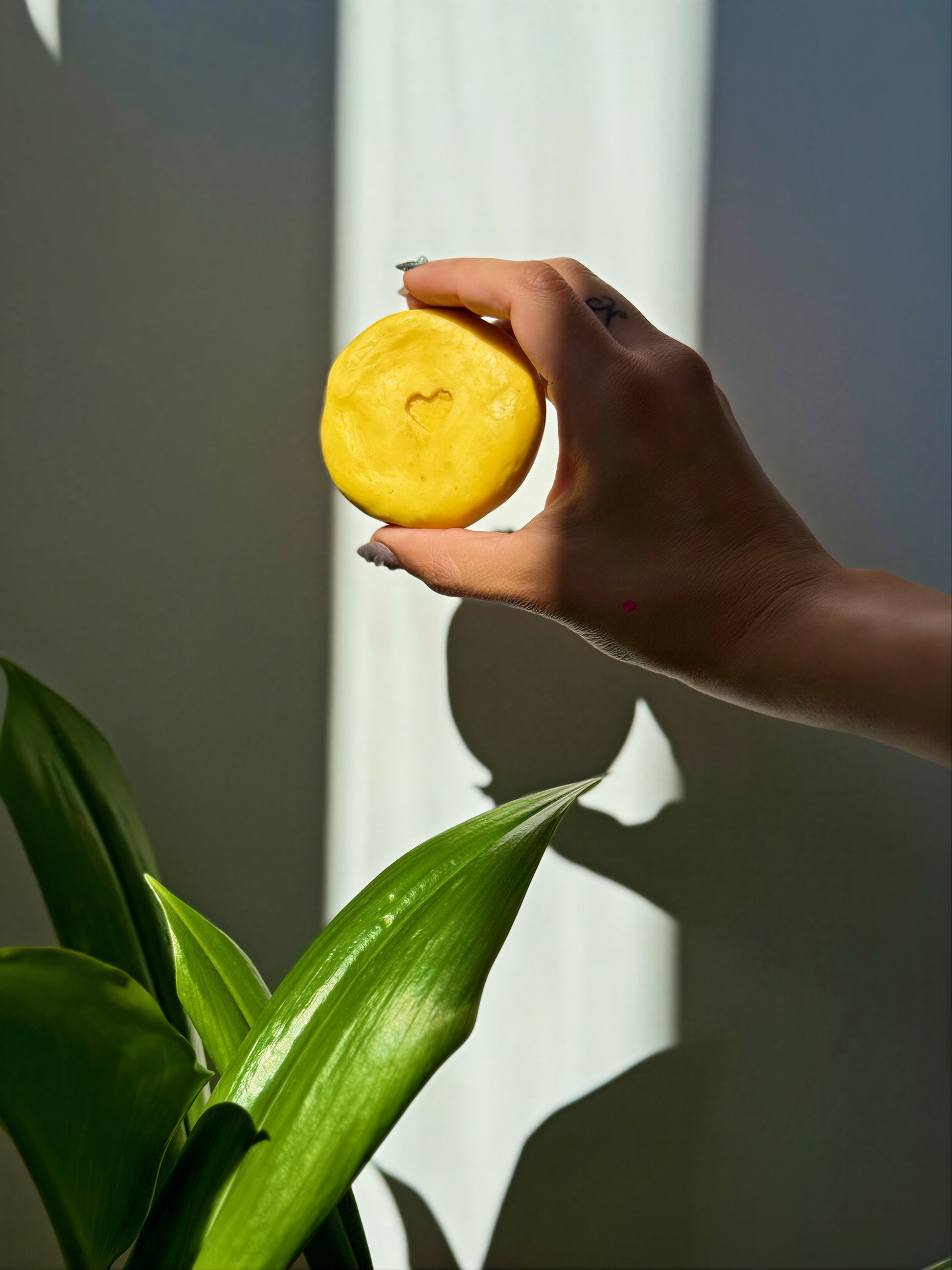 Shampoo Solido de Aguaje