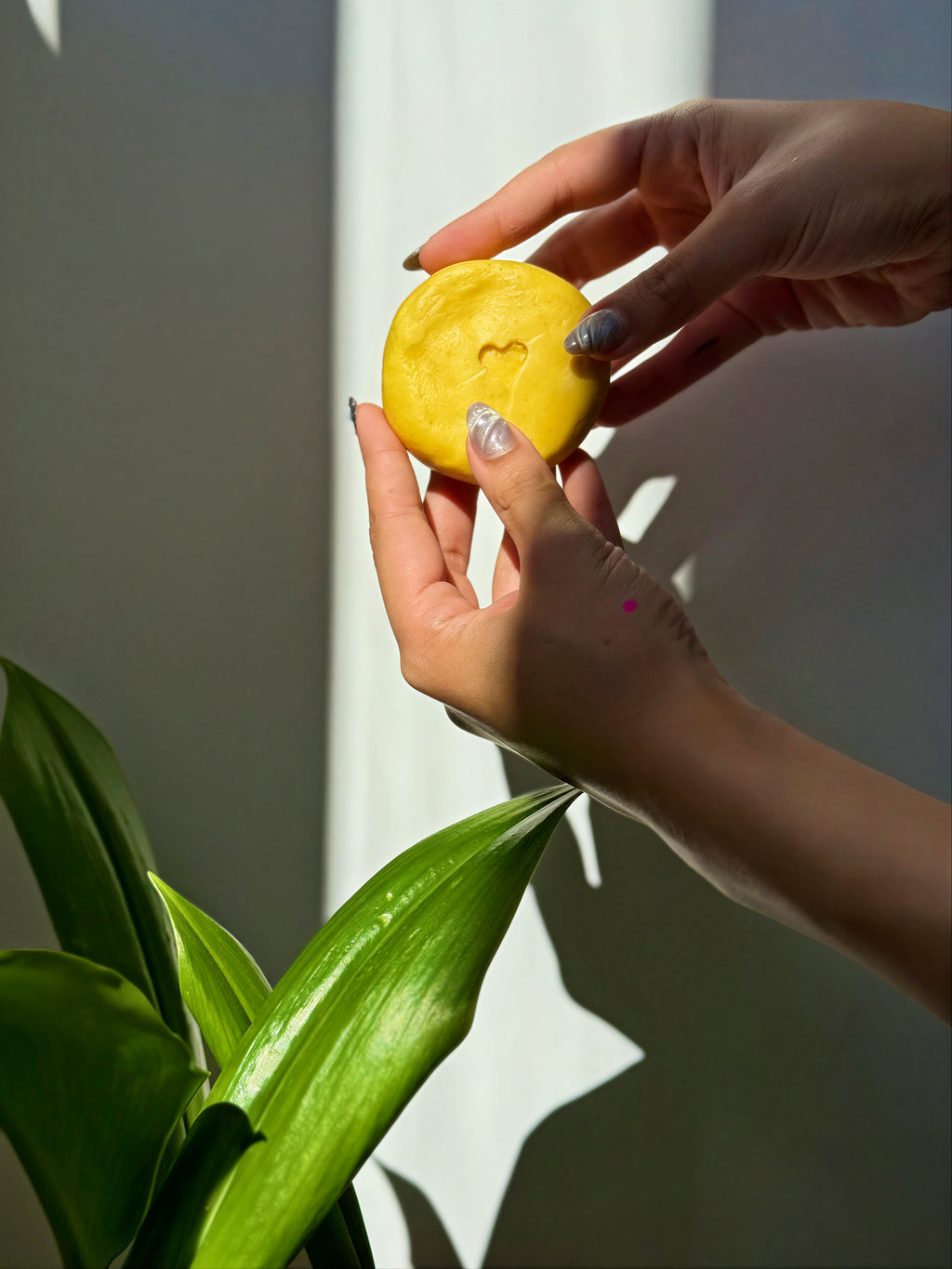 Shampoo Solido de Aguaje